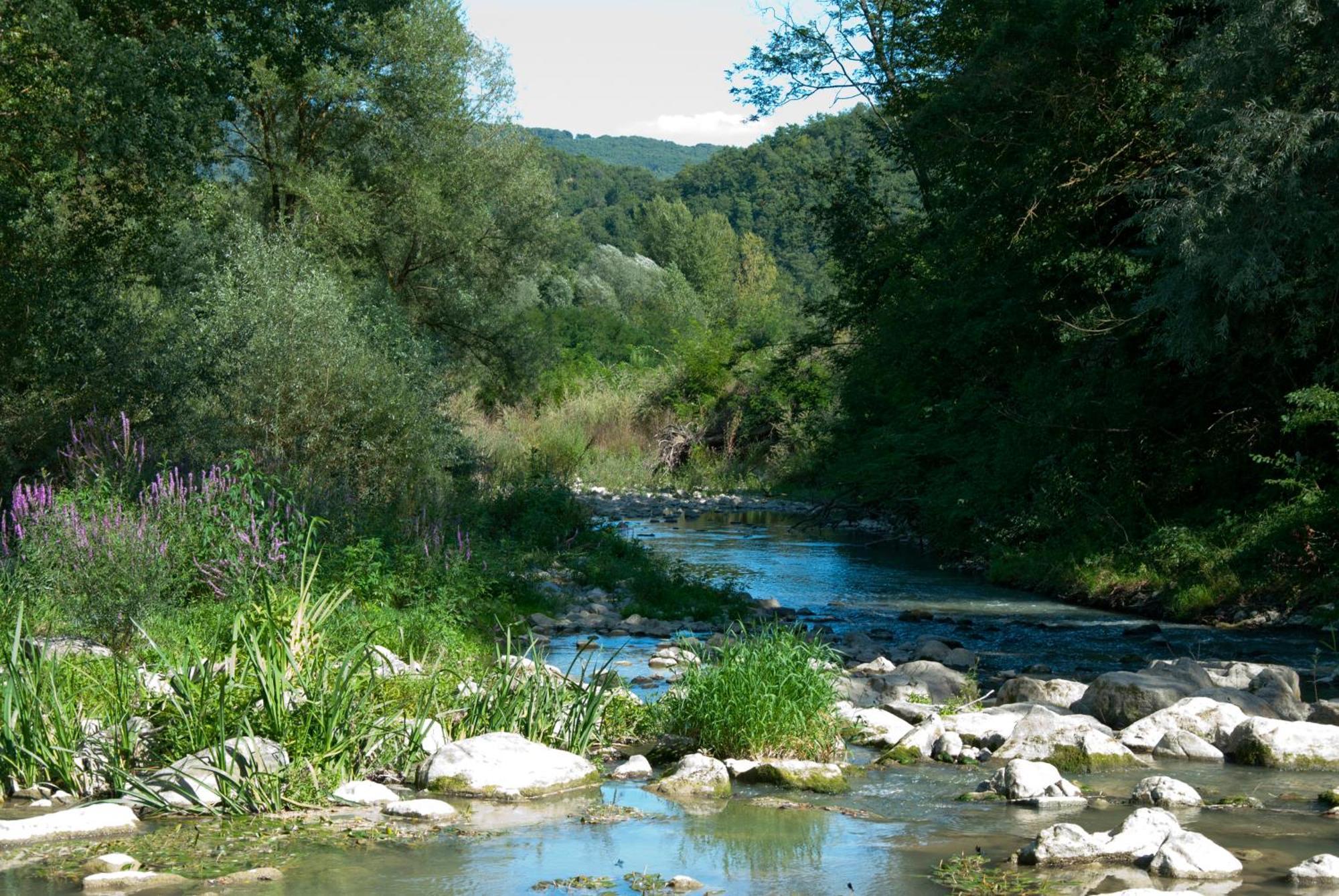 La Casella Ficulle Esterno foto